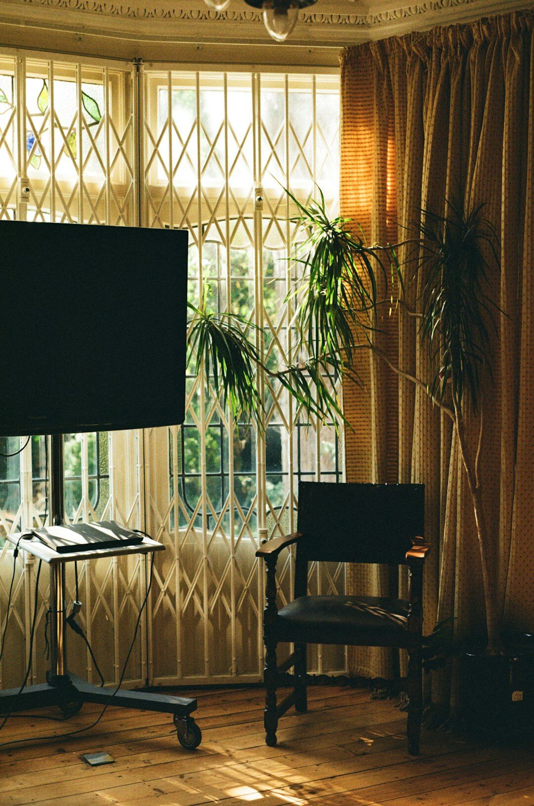 Modern video studio interior with ring lights and cameras